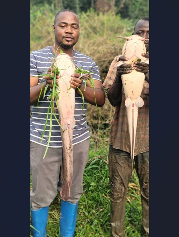 capture d’écran 2026 01 25 095116 capture d’écran 2026 01 25 095116