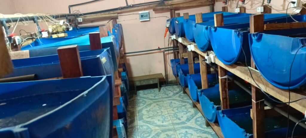 whatsapp image 2026 01 07 at 15.50.34 whatsapp image 2026 01 07 at 15.50.34