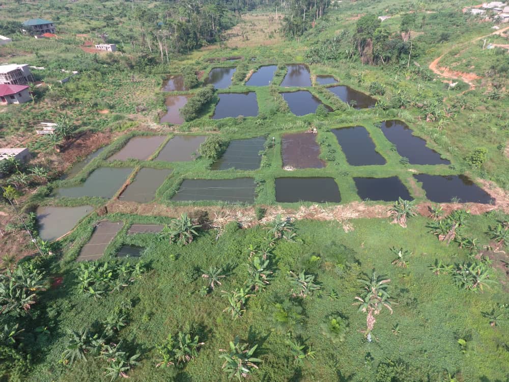 whatsapp image 2026 01 07 at 15.50.38 whatsapp image 2026 01 07 at 15.50.38