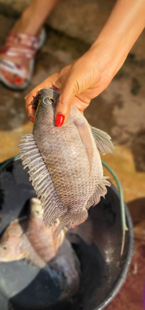 whatsapp image 2026 01 07 at 15.50.41 (1) whatsapp image 2026 01 07 at 15.50.41 (1)