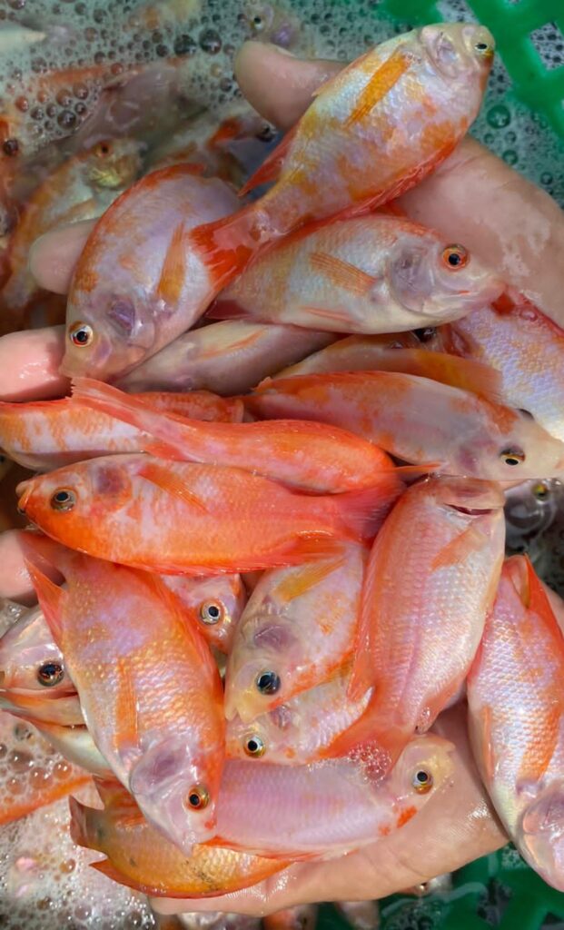 whatsapp image 2026 01 07 at 15.50.45 whatsapp image 2026 01 07 at 15.50.45