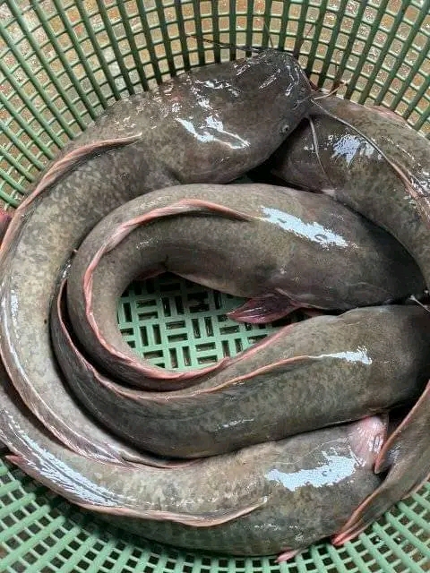 whatsapp image 2026 01 07 at 15.50.49 (1) whatsapp image 2026 01 07 at 15.50.49 (1)