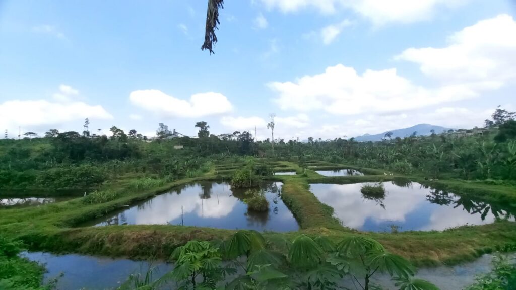 whatsapp image 2026 01 07 at 15.50.49 whatsapp image 2026 01 07 at 15.50.49