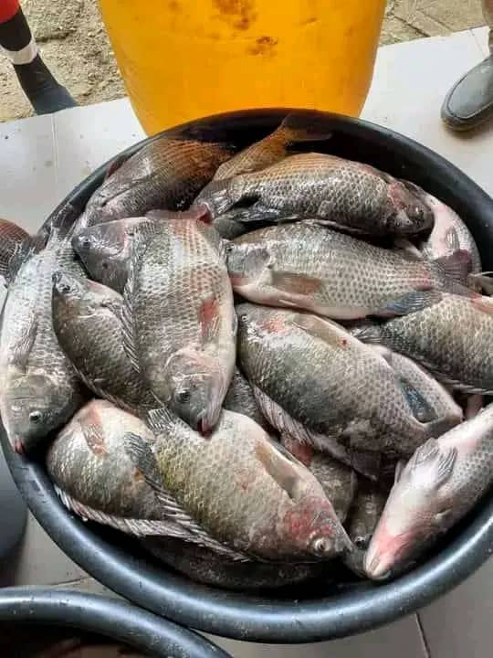 whatsapp image 2026 01 07 at 15.50.53 (1) whatsapp image 2026 01 07 at 15.50.53 (1)