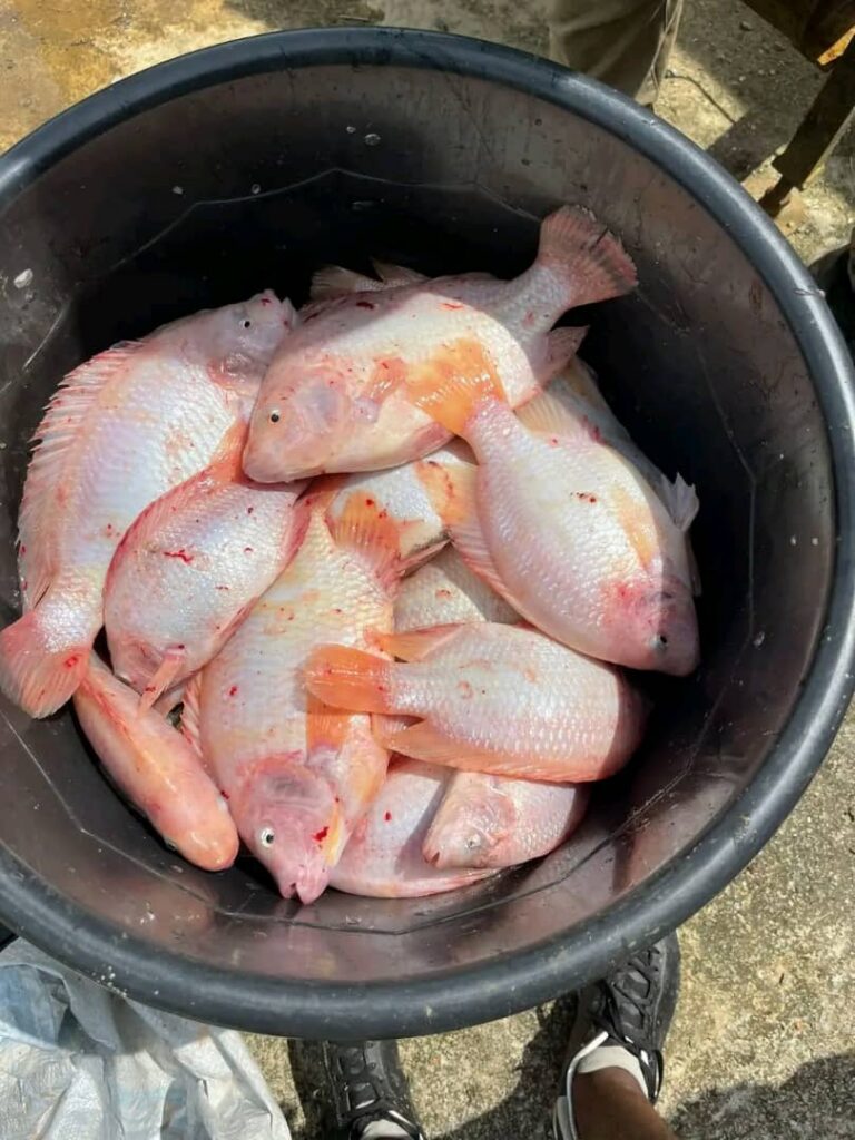 whatsapp image 2026 01 07 at 15.50.54 whatsapp image 2026 01 07 at 15.50.54