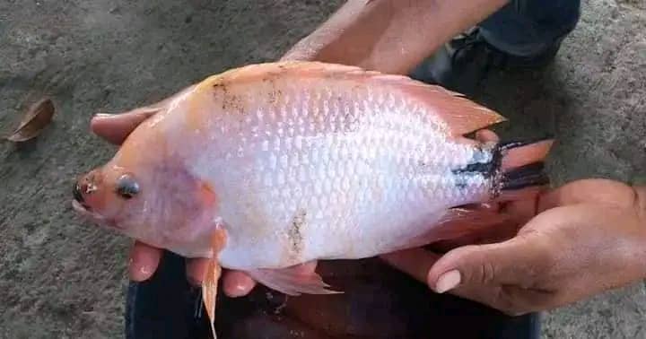 whatsapp image 2026 01 07 at 15.50.58 whatsapp image 2026 01 07 at 15.50.58