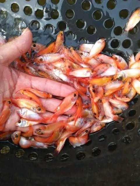 whatsapp image 2026 01 07 at 15.50.59 whatsapp image 2026 01 07 at 15.50.59